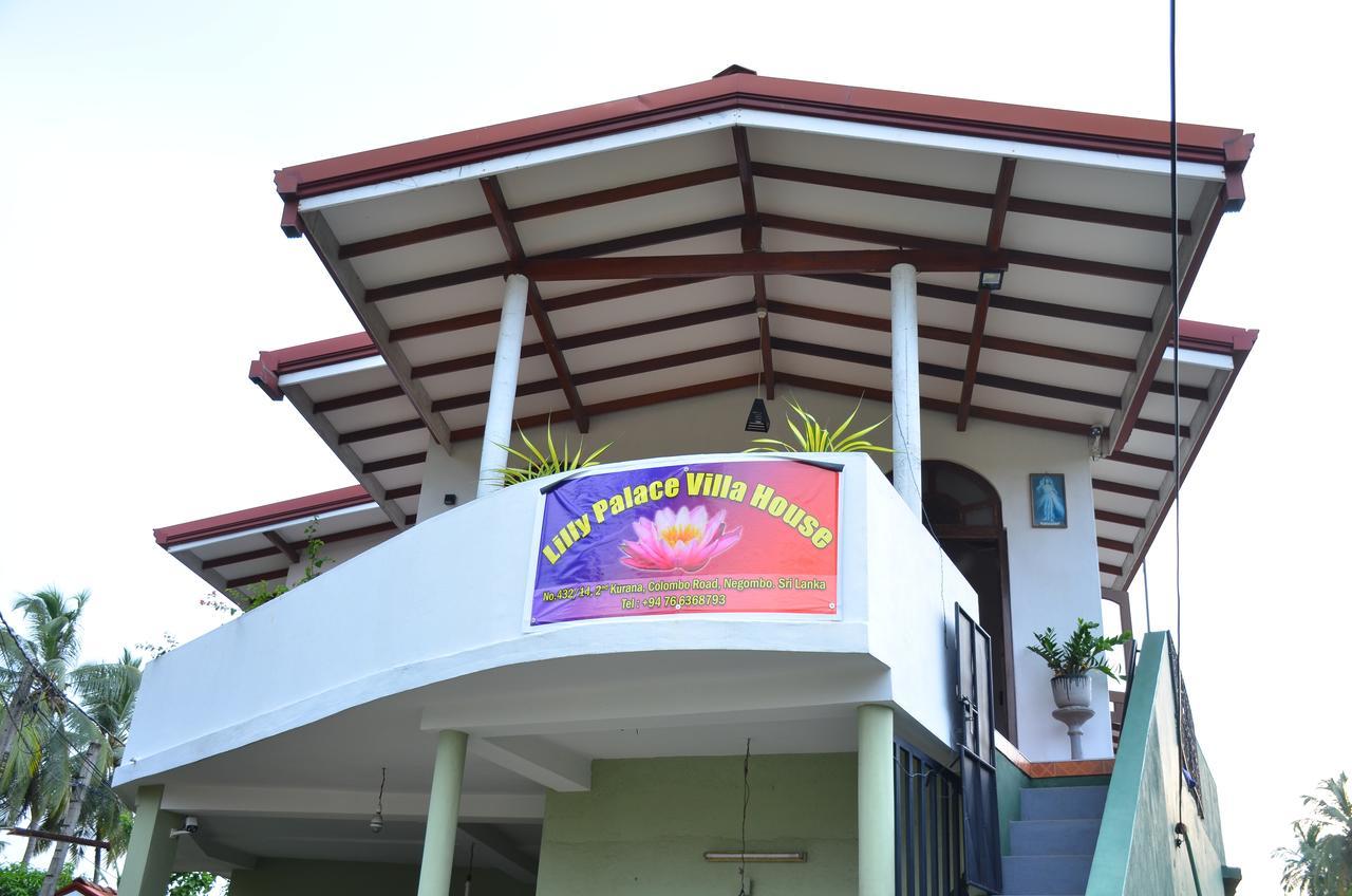 Lilly Palace Villa Guest House Νεγκόμπο Εξωτερικό φωτογραφία